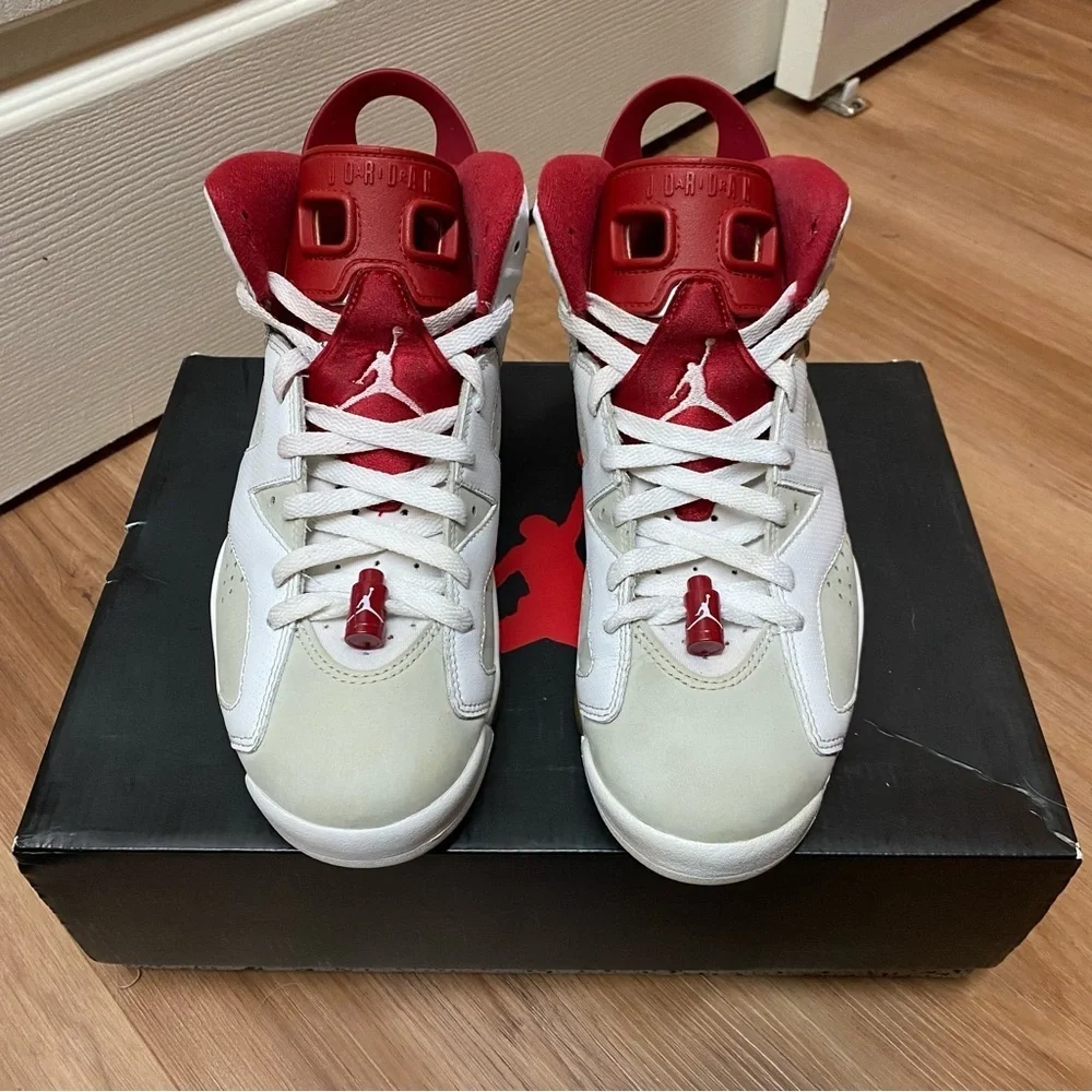 2017 Air Jordan 6 Retro “Alternate Hare” Men’s Size 8